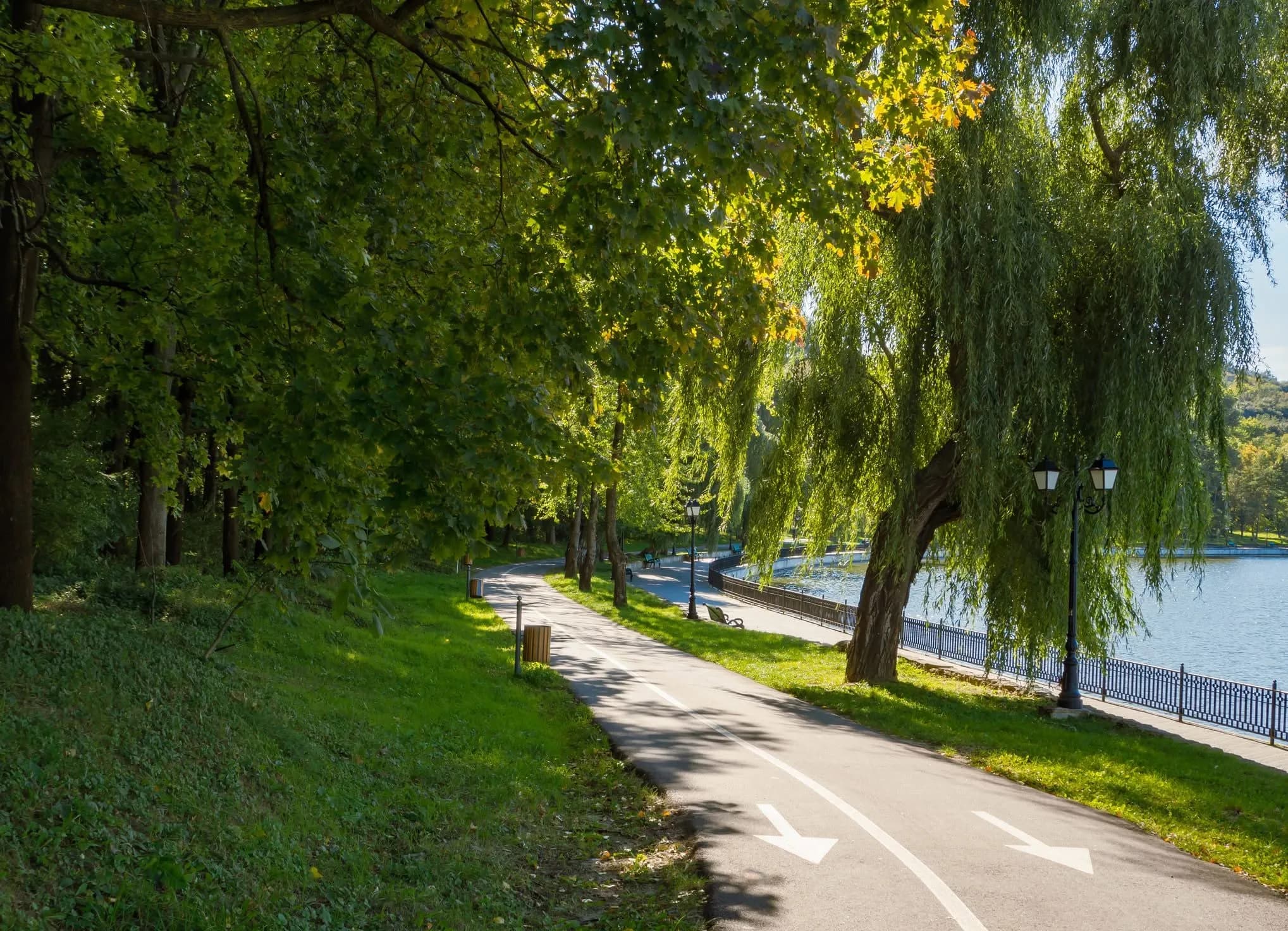 Valea morilor